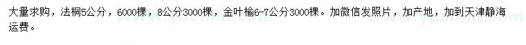 求購5、8公分法桐、6-7公分金葉榆