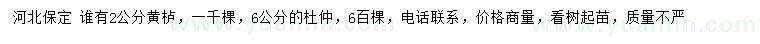 求購2公分黃櫨、6公分杜仲