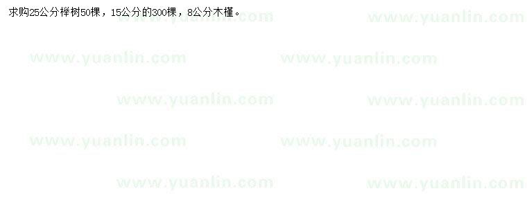 求購15、25公分櫸樹、8公分木槿