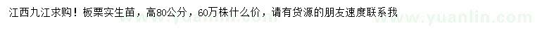 求購(gòu)高80公分板栗實(shí)生苗