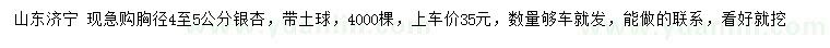 求購胸徑4-5公分銀杏