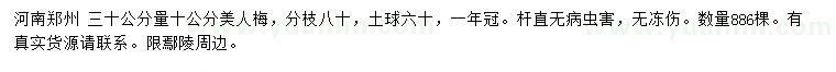 求購(gòu)30公分量10公分美人梅