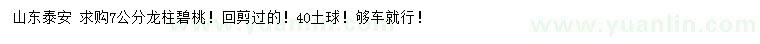 求購(gòu)7公分龍柱碧桃