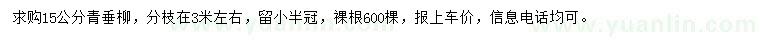 求購15公分青垂柳