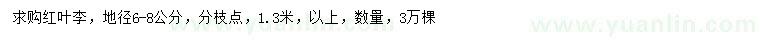 求購地徑6-8公分紅葉李