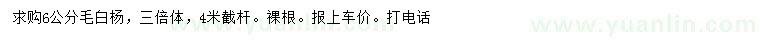 求購6公分毛白楊