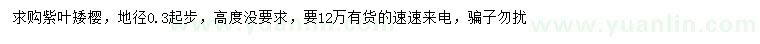 求購地徑0.3公分紫葉矮櫻