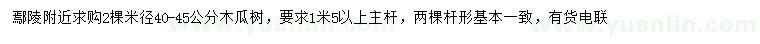 求購(gòu)米徑40-45公分木瓜樹