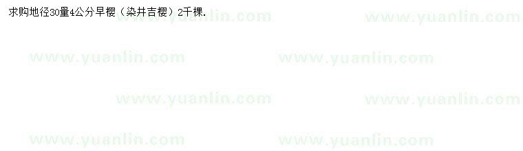 求購地徑30量4公分早櫻