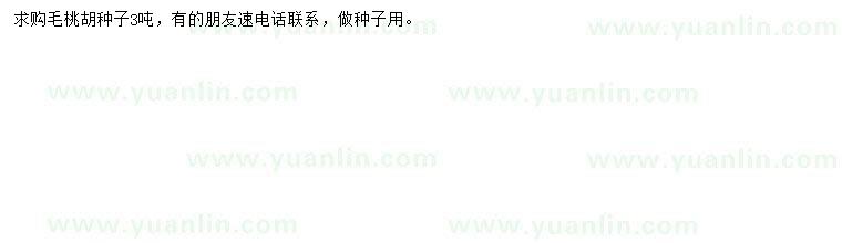 求購(gòu)毛桃胡種子
