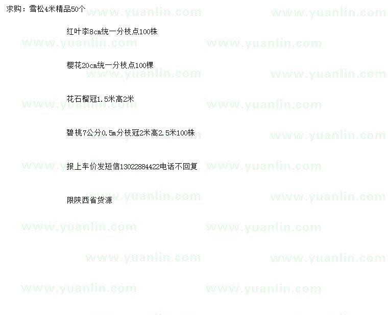 求購(gòu)雪松、紅葉李、櫻花等