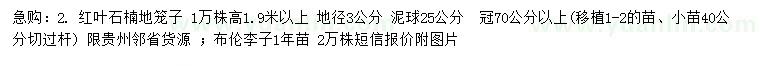 求購地徑3公分紅葉石楠地籠子、1年苗布倫李子
