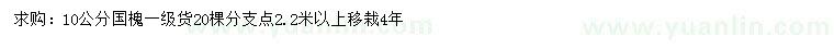 求購10公分國槐
