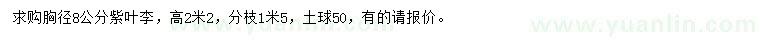 求購胸徑8公分紫葉李
