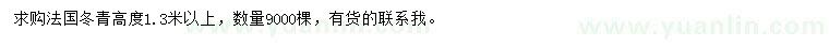 求購高度1.3米以上法國冬青