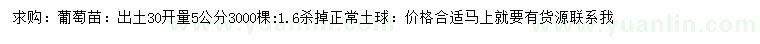 求購出土30開量5公分葡萄苗