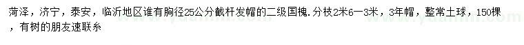 求購25公分國槐