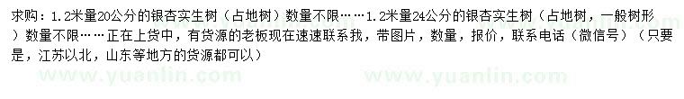 求購(gòu)1.2米量20、24公分銀杏實(shí)生樹