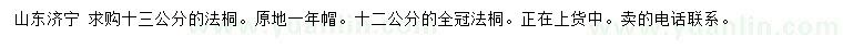 求購12、13公分法桐