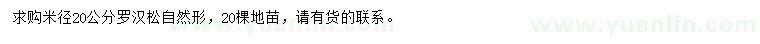 求購(gòu)米徑20公分羅漢松