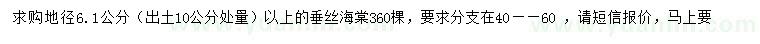 求購(gòu)出土10公分處量地徑6.1公分以上垂絲海棠