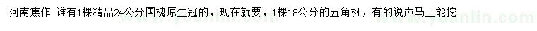 求購(gòu)24公分國(guó)槐、18公分五角楓