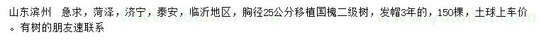 求購胸徑25公分國槐