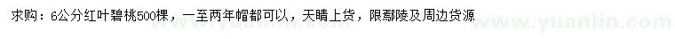 求購6公分紅葉碧桃