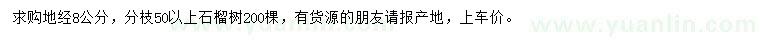求購地徑8公分石榴樹