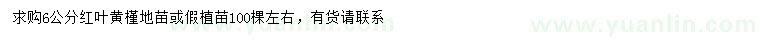 求購(gòu)6公分紅葉黃槿地苗或假植苗