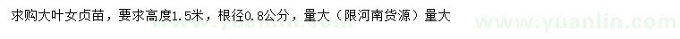 求購(gòu)根徑0.8公分大葉女貞苗