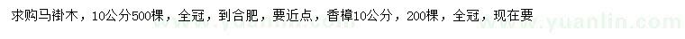 求購10公分馬褂木、香樟