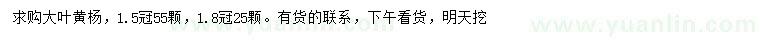 求購(gòu)冠幅1.5、1.8米大葉黃楊
