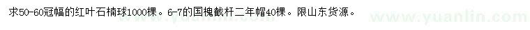 求購冠幅50-60公分紅葉石楠球、6-7公分國槐