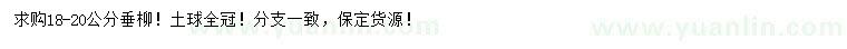 求購(gòu)18-20公分垂柳