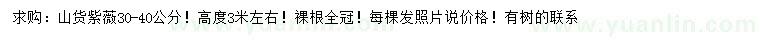 求購30-40公分紫薇