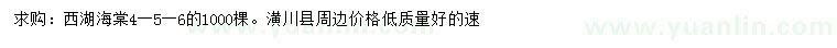 求購4、5、6公分西湖海棠