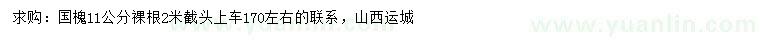 求購(gòu)11公分國(guó)槐