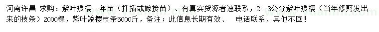 求購(gòu)2-3公分紫葉矮櫻