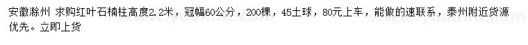 求購高度2.2米紅葉石楠柱