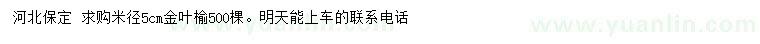 求購米徑5公分金葉榆
