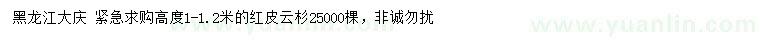 求購高度1-1.2米紅皮云杉