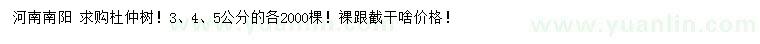 求購(gòu)3、4、5公分杜仲樹(shù)