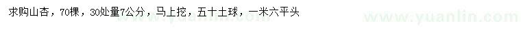 求購7公分山杏