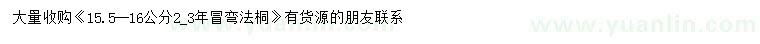 求購15.5-16公分法桐