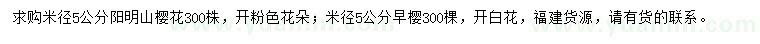 求購(gòu)米徑5公分櫻花、早櫻