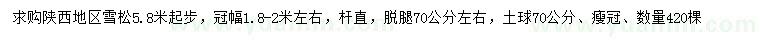 求購5.8米起步雪松
