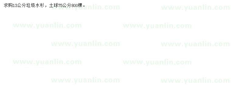 求購13公分垃圾水杉