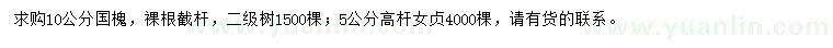 求購10公分國槐、5公分高桿女貞