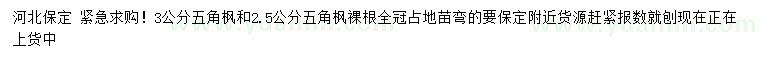 求購2.5、3公分五角楓